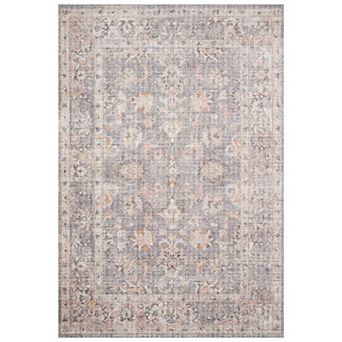 Loloi Skye Distressed Traditional Accent or Area Rug