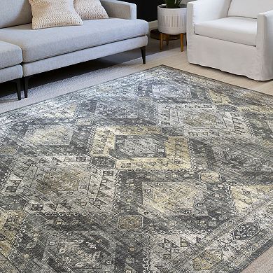 Loloi Skye Graphite Silver Rug