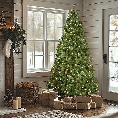 National Tree Company 7.5-ft. LED North Valley Spruce Artificial Christmas Tree