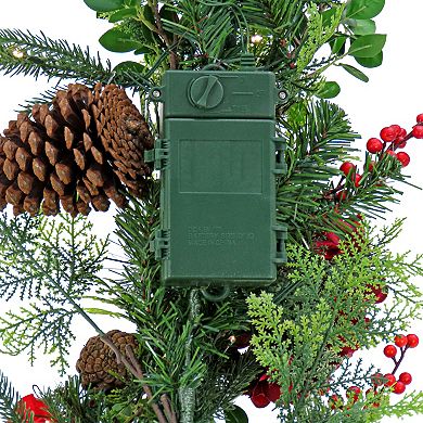 National Tree Company 9-ft. Vienna Waltz LED Artificial Garland