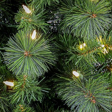 National Tree Company 6-ft. LED Nooksack Fir Pencil Artificial Christmas Tree