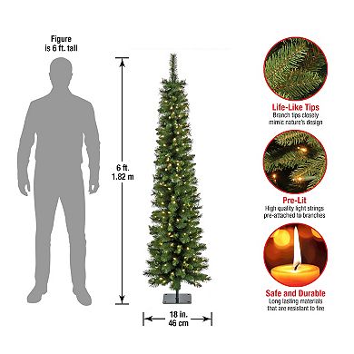 National Tree Company 6-ft. LED Nooksack Fir Pencil Artificial Christmas Tree