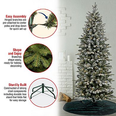 National Tree Company 7-ft. LED Conger Pine Pencil Artificial Christmas Tree