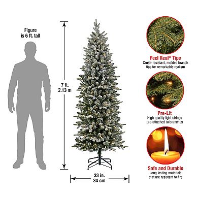 National Tree Company 7-ft. LED Conger Pine Pencil Artificial Christmas Tree