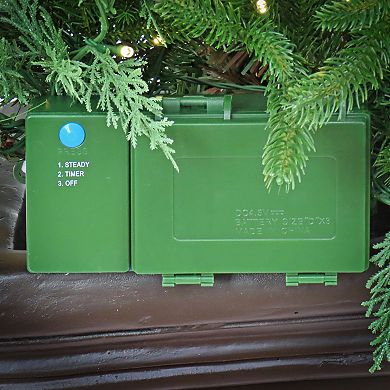 National Tree Company Evergreen Berries LED Floor Decor