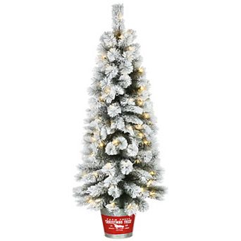 National Tree Company 5-ft. Snowy Pogue Pine Entrance LED Artificial Christmas Tree