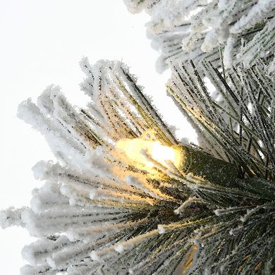 National Tree Company 5-ft. Snowy Pogue Pine Entrance LED Artificial Christmas Tree