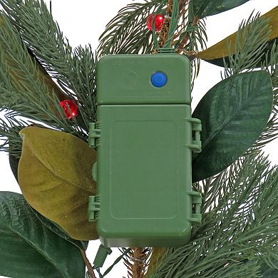 National Tree Company 9-ft. LED Red Light Magnolia Mix Pine Artificial Garland