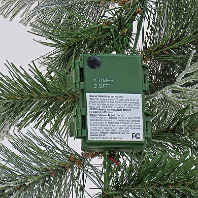 National Tree Company 9-ft. Tinkham Pine LED Artificial Garland