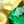 Gold Tone Green