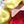 Gold Tone Red