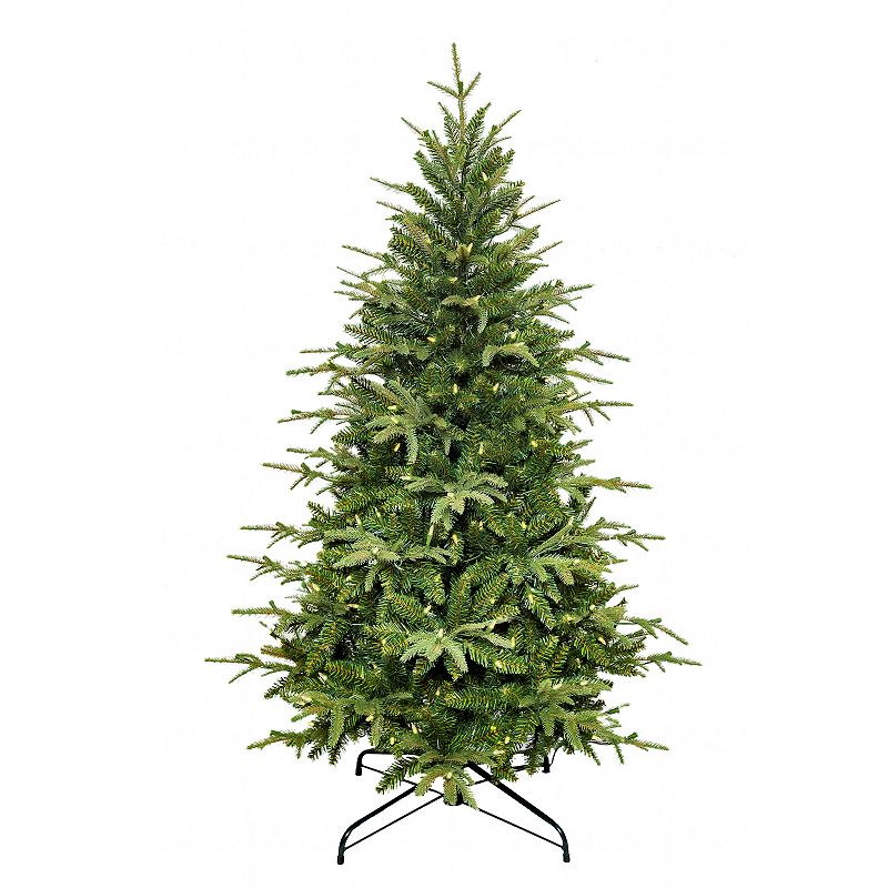 250-Light 5-ft. Warm White LED Grand Fir Artificial Christmas Tree, Green
