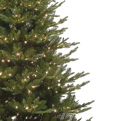 Pre-Lit 9-ft. LED Frasier Fir Artificial Christmas Tree