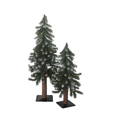 3-ft. Unlit Alpine Tree Floor Decor 2-piece Set