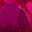 Created Ruby
