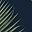Midnight Blue Green