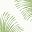 Summer Fern
