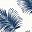 White Navy