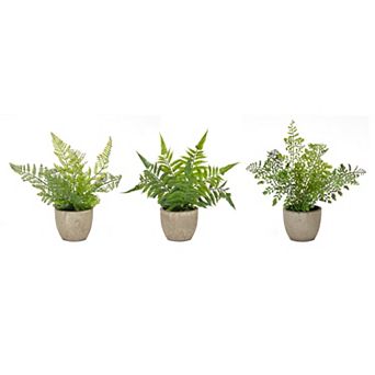Melrose Artificial Fern Plant Table Decor 3 pc Set