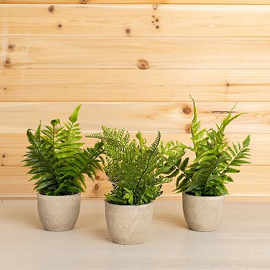 Melrose Artificial Fern Plant Table Decor 3-piece Set