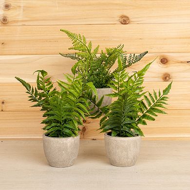 Melrose Artificial Fern Plant Table Decor 3-piece Set