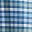 Blue Mint Check