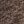 Brown Splatter