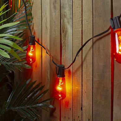 Northlight 10-Light Orange Edison E17 Halloween Light Set