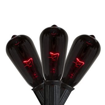 Northlight 10-Light Purple Edison E17 Halloween Light Set