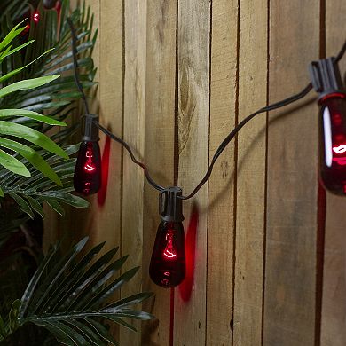 Northlight 10-Light Purple Edison E17 Halloween Light Set