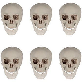 Northlight Skull Halloween Table Decor 6 pc Set