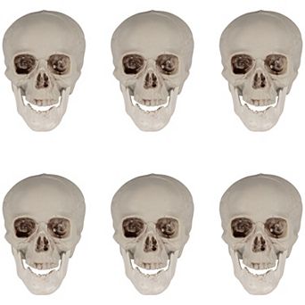 Northlight Skull Halloween Table Decor 6 pc Set