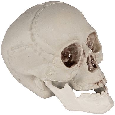 Northlight Skull Halloween Table Decor 6-piece Set