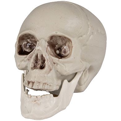 Northlight Skull Halloween Table Decor 6-piece Set