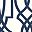 Navy White
