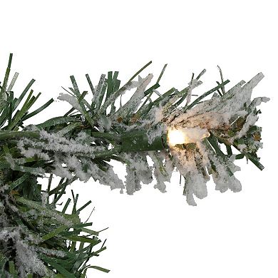 Northlight 9-ft. Pre-lit Flocked Victoria Pine Artificial Garland