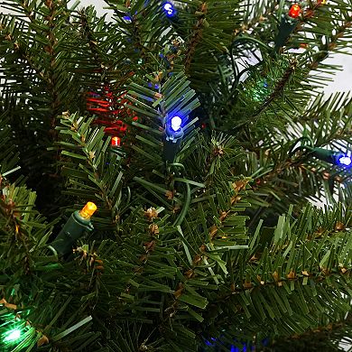 Northlight 4-ft. Pre-Lit Full Northern Pine Artificial Christmas Tree