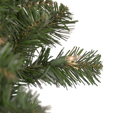 Northlight 24-in. Pre-Lit Windsor Pine Artificial Christmas Wreath