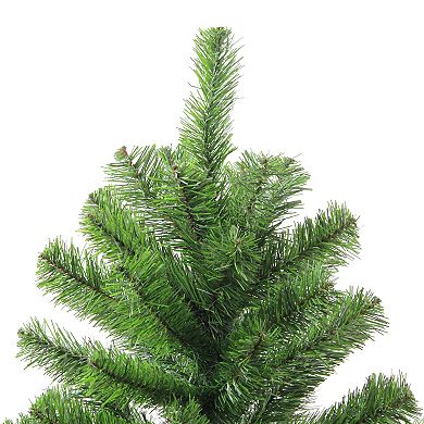 Northlight 4-ft. Colorado Spruce Full Artificial Christmas Tree