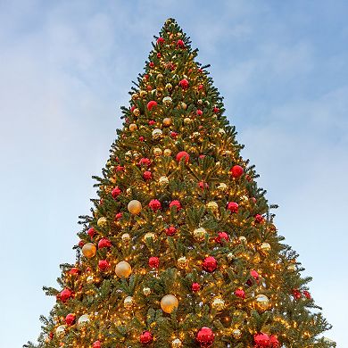 Northlight 15-ft. Pre-Lit Canadian Pine Artificial Christmas Tree