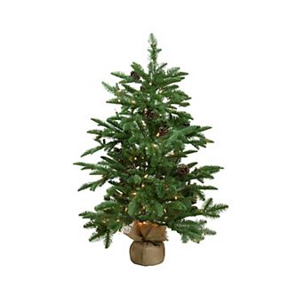 Northlight 3-ft. Pre-Lit Viella Norway Spruce Artificial Christmas Tree
