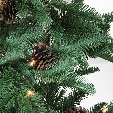 Northlight 3-ft. Pre-Lit Viella Norway Spruce Artificial Christmas Tree