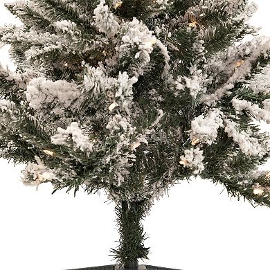 Northlight 4-ft. Pre-Lit Flocked Pine Slim Artificial Christmas Tree