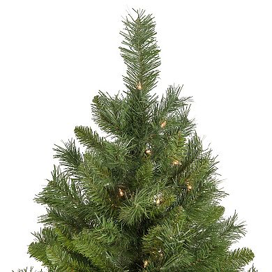Northlight 6.5-ft. Pre-Lit Chatham Pine Artificial Christmas Tree