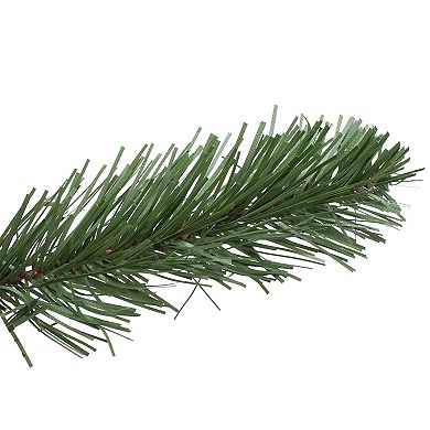 Northlight Colorado Spruce Artificial Christmas Garland