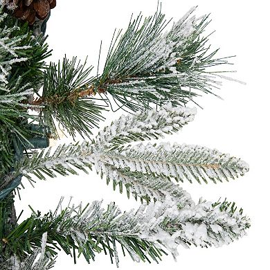 Northlight Pre-Lit Flocked Mixed Rosemary Emerald Pine Artificial Christmas Garland