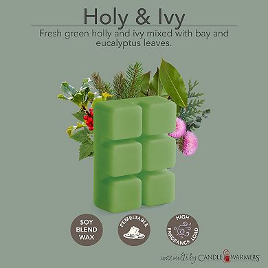 Candle Warmers Etc. 2.5-oz. Balsam Fir & Holly and Ivy Variety Wax Melts 48-piece Set