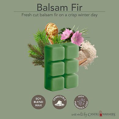 Candle Warmers Etc. 2.5-oz. Balsam Fir & Holly and Ivy Variety Wax Melts 48-piece Set