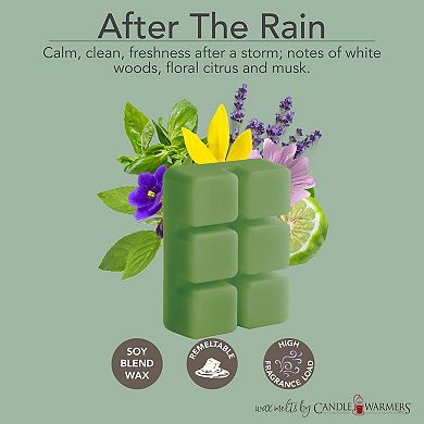Candle Warmers Etc. 2.5-oz. Fresh Linen & After the Rain Variety Wax Melts 48-piece Set