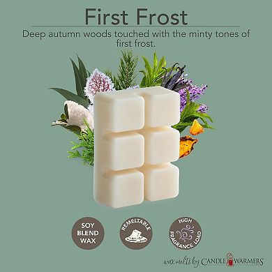 Candle Warmers Etc. 2.5-oz. Balsam Fir & First Frost Variety Wax Melts 48-piece Set